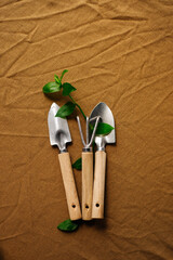 garden tools for growing a home garden and vegetable garden. . High quality photo
