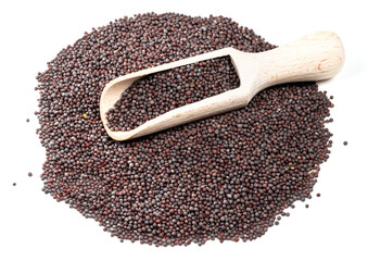 scoop on pile of black mustard seeds on white