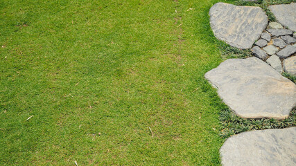 stone path in the garden