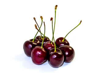 Isolated on White Cherry Background