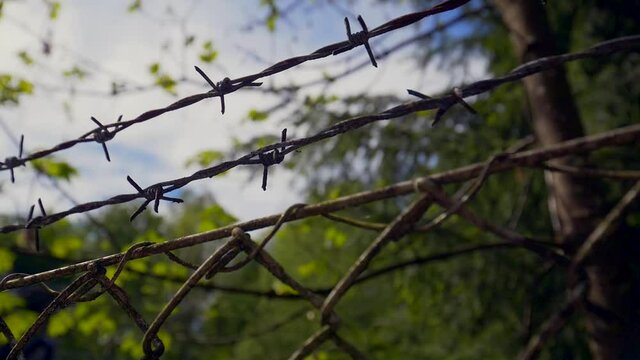 Close up trucking shot of old rusty fence with barbed wire in front of forest trees on military area