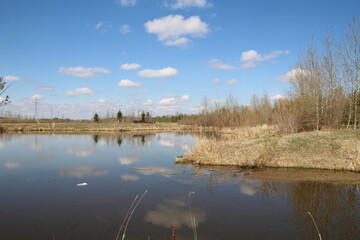 Calm Day, Pylypow Wetlands, Edmonton, Alberta