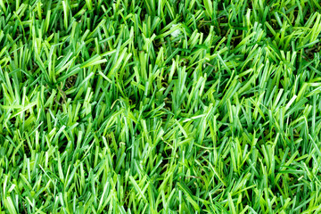 Green artificial grass background