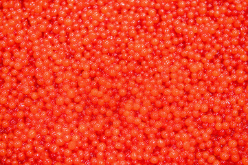 Red caviar, abstract background. Lots of eggs