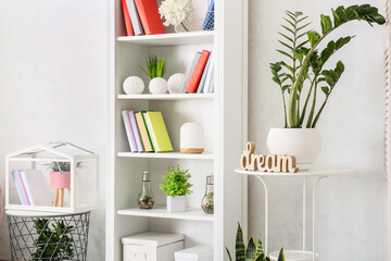 Shelf unit with books and houseplants in interior of light room