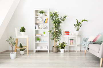 Shelf unit with books, houseplants and sofa in interior of light room