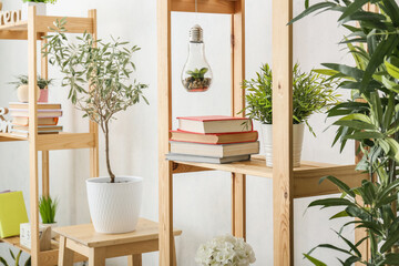 Shelf units with books and houseplants near light wall