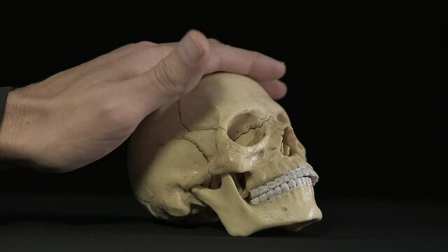Man with the skull. A view of man's hand stroking the little scalp on the black background.