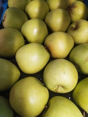green apples background