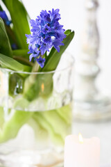Vase with beautiful hyacinth flowers and burning candle on table, closeup