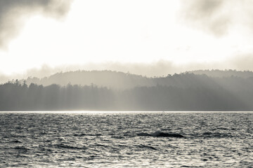 Golden Hour Tofino