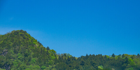 Fototapeta na wymiar 春の大岳山　新緑の山