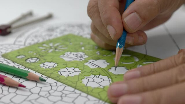 Student  design backyard patio garden plan in class.