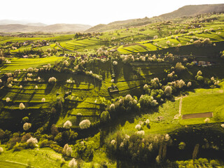 Spring landscape in Slovakia. Polana region, Hrinova. Green spring rural hills landscape, fields, flowering trees, organic farming © Zedspider