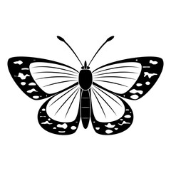  Black and white butterfly icon, vector illustration
