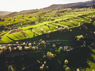 Spring landscape in Slovakia. Polana region, Hrinova. Green spring rural hills landscape, fields, flowering trees, organic farming © Zedspider