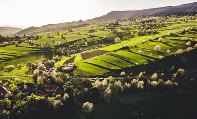 Spring landscape in Slovakia. Polana region, Hrinova. Green spring rural hills landscape, fields, flowering trees, organic farming © Zedspider