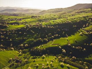 Spring landscape in Slovakia. Polana region, Hrinova. Green spring rural hills landscape, fields, flowering trees, organic farming © Zedspider