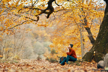 beautiful woman in a jeans sweater sits on the leaves near a tree landscape autumn park forest