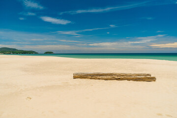 The log lies on the sandy beach of an amazing beach landscape. Summer vacation and nature travel...