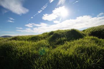 Ocean coastline with grassy fields and clouds on a sunny day.
