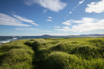 Fototapeta na wymiar Ocean coastline with grassy fields and clouds on a sunny day.