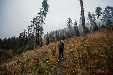 Mountain landscape. Misty forest. Natural outdoor travel background. Slovakia, Low Tatras, Demenovska hora and dolina vyvierania. Liptov travel. © Zedspider