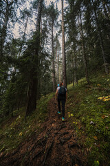 Mountain landscape. Misty forest. Natural outdoor travel background. Slovakia, Low Tatras, Demenovska hora and dolina vyvierania. Liptov travel. © Zedspider