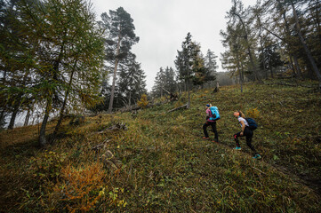 Mountain landscape. Misty forest. Natural outdoor travel background. Slovakia, Low Tatras, Demenovska hora and dolina vyvierania. Liptov travel. © Zedspider
