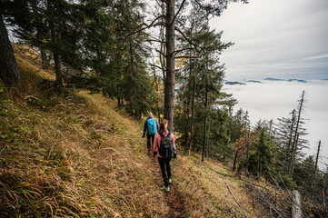 Mountain landscape. Misty forest. Natural outdoor travel background. Slovakia, Low Tatras, Demenovska hora and dolina vyvierania. Liptov travel. © Zedspider