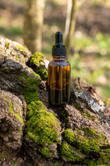 Serum glass bottle with dropper on moss and tree bark natural background. Natural organic Spa cosmetic concept.