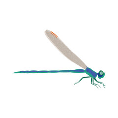 A beautiful blue-green dragonfly with transparent wings, red spots on them and large eyes. Summer colored flying insect side view. Vector illustration isolated on white background.