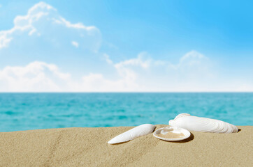 Fototapeta na wymiar white shells on sand, caribbean sea and azure blue sky with white clouds