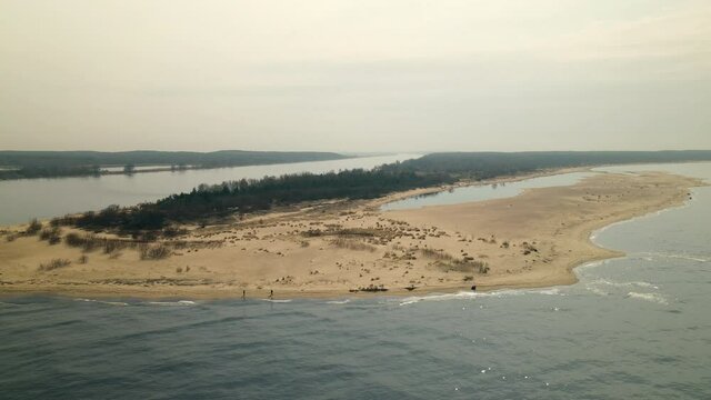 Mewia Lacha Nature Reserve With Vistula River In Sobieszewo Island, Over Bay Of Gdansk, Baltic Sea, Poland. - Aerial Shot