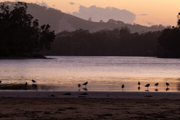 Sunset over the lake with mountians, clouds and birds