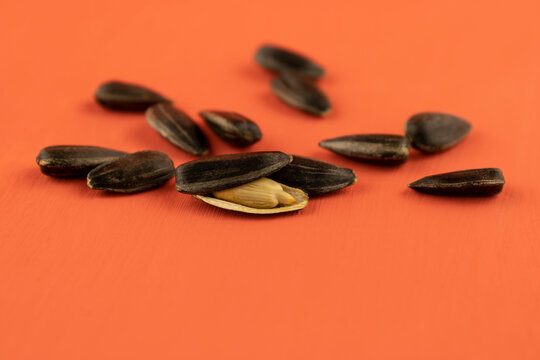 A Scattering Of Black Whole Sunflower Seeds And One Peeled