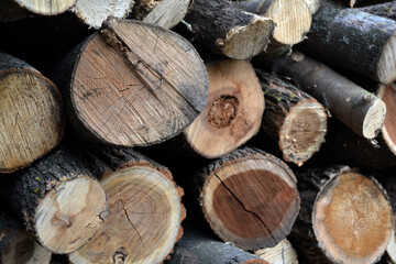 Preparations for the heating season in the village. Firewood in the yard. Photo of a log. Texture of a tree bark