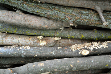 Preparations for the heating season in the village. Firewood in the yard. Photo of a log. Texture of a tree bark. Village, forest. Natural motives