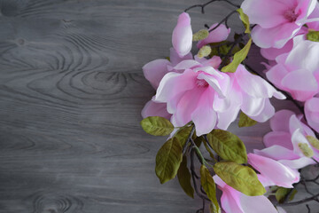 pink orchid on wooden background