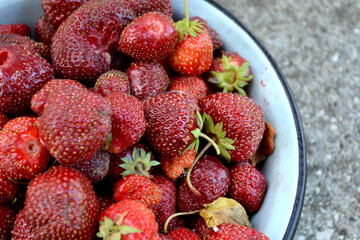 Fragaria viridis, Fragaria ananassa. Beautiful berry background of nature. Appetizing juicy berries in an old plate