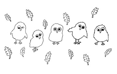 set of vector cute little owls. hand drawn vector illustration