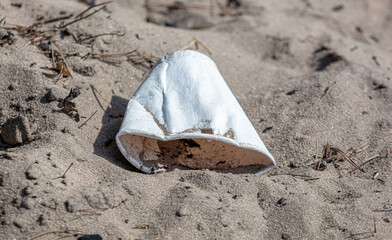 Paper cup in the sand in the park