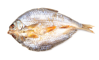 Dried fish isolated on a white