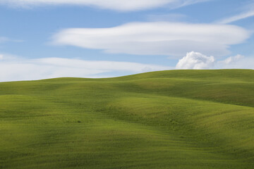 Fototapeta premium Colline Toscane