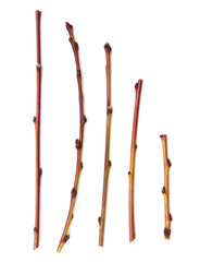 Wooden twigs isolated on a white