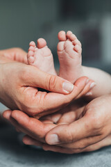 Newborn baby feet in parents hands - obrazy, fototapety, plakaty