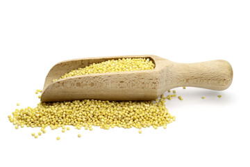 Millet in wooden scoop isolated on white