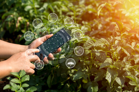Hands of farmer, Agriculture technology farmer man using tablet Modern technology concept agriculture.