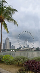 Fototapeta premium Singapore Flyer- it reaches the height of a 55-storey building, having a total height of 165 m