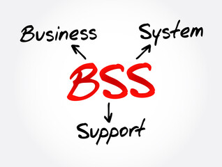 BSS - Business Support System acronym, business concept background